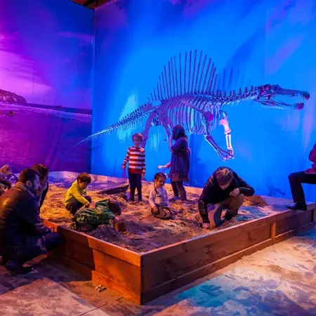 Dino Safari