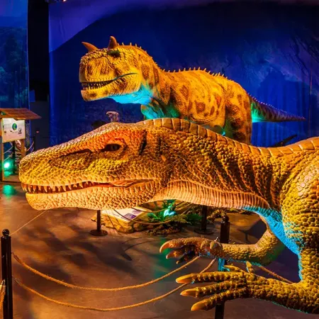 Dino Safari