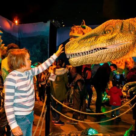 Dino Safari