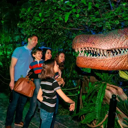 Dino Safari