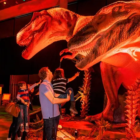 Dino Safari